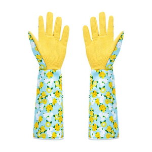 ̃K[fjO ≮Oł̍ƂɍœKȉ|p