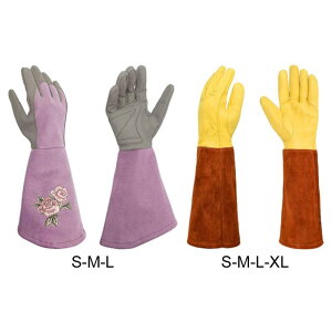 Ƃ̂΂݃T{ê߂̊Ȋv̉|pܒʋC̈SƗp