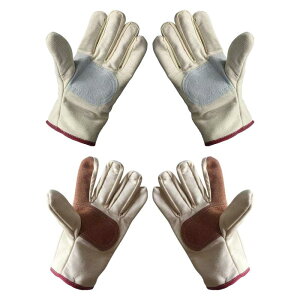 ʕp ̕ی ʋC  ~ ̂ЂveN^[ K[fjOp ؒ 