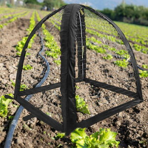 ApVF[heg OpAی OpĂ~ Ăh~