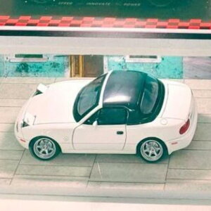 1/32 ԏfBXvCP[X.~jJ[[{bNX.Lrlbgpی DIY AȃfJ[K[WWI}J[V[P[X