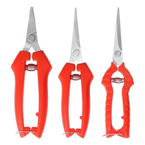  |p虒.g~O.t[AWg K[fVU[ ؗpg~O