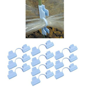 tB 10 pCv hlbg Ռlbg A Œp