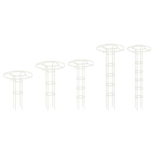 P IxXN K[fgX t[X^h o Op w̍AT|[g x p[eB[ Ő   uhEp