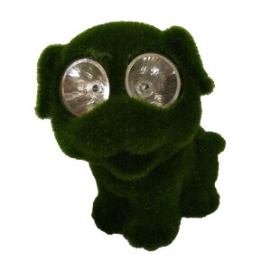 Aѓ̒u\[[LEDK[fCgŐ̒̑ , 