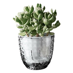 ȎUt[v^[Aؔۈ牀A̓|bgAؔ㒆Ip