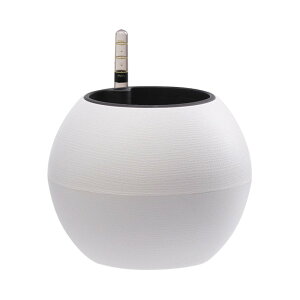 ȋAؔ vg|bg v^[ ʃCWP[^t vX`bNAؔ