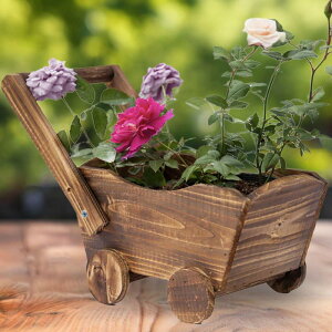 J[g^Aؔ ړIAؔ Mtg u A v^[  Lb` ItBX fXN z[K[fp