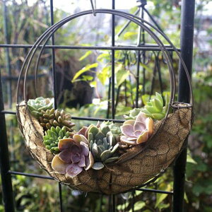 2gACA{[VFCvA|bg^nMOv^[vgz_[ , 2̌̌`