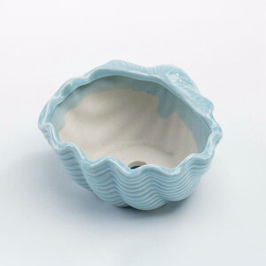 Z~bNAؔ NGCeBuȑAؔ K[fVFtp z[fR[V Cgu[