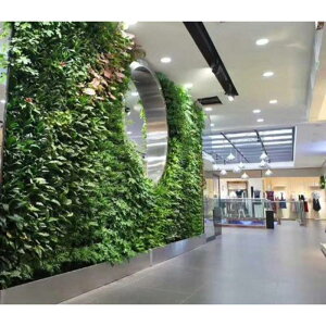 Ǌ|AؔZbgoXPbgK[ft[fR[V12.5x16cm