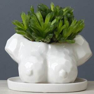 ۓIȑAT{et[|bg/Aؔ/v^[/ƒpRei.ItBXfXNgbv (A͊܂܂܂)