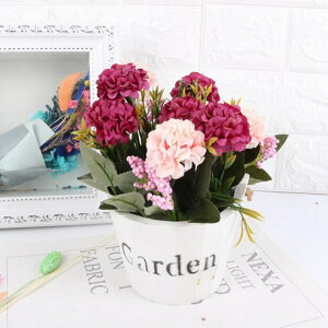 1u[PlHỎԃuC_p[eB[̑