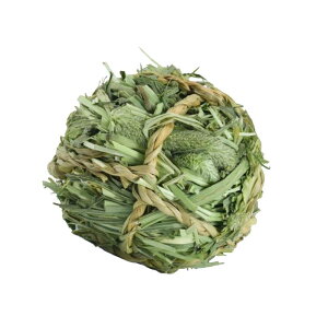   ANeBreB vC eBV[ ރoj[ XilY~ ``