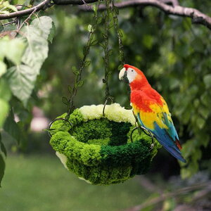 nMOnbN puR pnbN  tB` RjA IEp̑