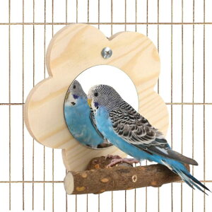 X^h ~[t C^NeBuvC ؐIE~[p