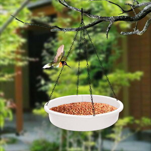 ̃MtgK[fp̒̉aƐՃ{En`h̉a