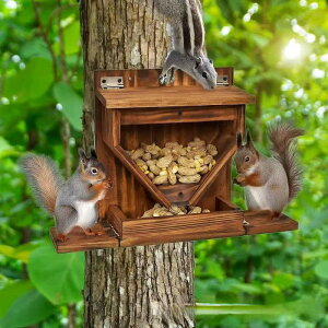 Xpa{bNX ȒPɋał.≮O̒ɍœKȋaXe[V