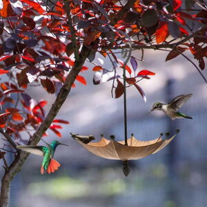 P^o[htB[_[ ݂艺o[ht[hRei Op