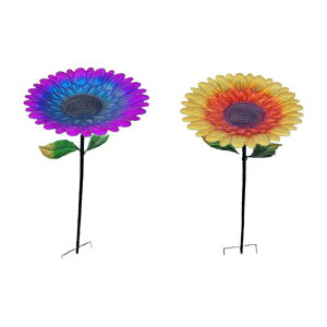 Ԃ̒̉a K[ffR[V Ntg NGCeBuReiI[ig Yt o[hoXgC oRj[ Oӏܗp