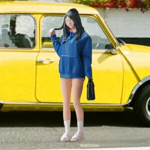 1/64 ltBMA V~[V K[tBMA DIY Ntg ~jzWI} LN^[tBMA WI} }CNip