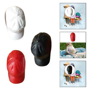 1/6XP[̏ANVtBMAnbg싅Xo[hXAbvȃ~j`AX^CbV12C`̏tBMAANZT[