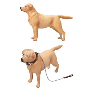 1:6 tBMA uh[ u vCZbg ANVtBMA ANZT[ RNV WI} fR[V wKߋ 