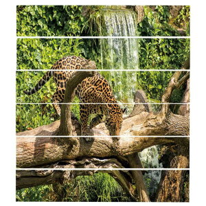 KiXebJ[ Kiǎ KiXebJ[ DIYKiǎ Kip  ȒP S10TCY