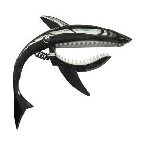 AR[XeBbN.GNgbNM^[.EN.oW[.`.î߂̃EN[[|M^[J -