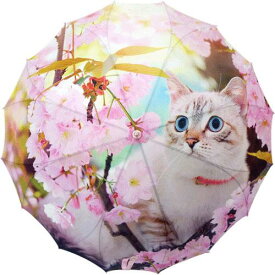 猫好き 猫雑貨 傘 60cm 一枚張傘　桜と猫 さくら ピンク 可愛い 猫顔 猫 ねこネコ キャット　CAT 送料無料