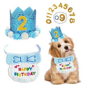  a Xq happy birthday o_i 悾ꂩ t   Lp ybg a Xq  t aObY  t^I ߉\ LO p[eB[ (u[)