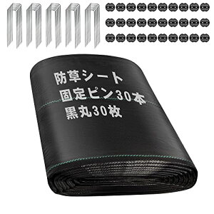 gomura hV[g 1m×20m V[g hV[g Œs ڂV[g 10Nϋv  x  ϋv G΍ Gh~  ʘH  |p Hp