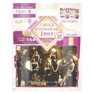 LUX(bNX) X[p[b`VC TWICER{ Vv[ RfBVi[(g[gg) lߑւ e Zbg e560g CX`[ _[WPA ێ