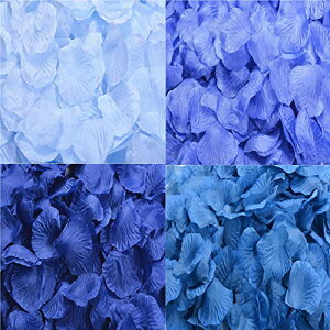 Ԃт u[n2000Zbg t[V[  KN  v|[Y   EGfBO 2 a j oɃ[Y p[eB[ N (u[n2000)