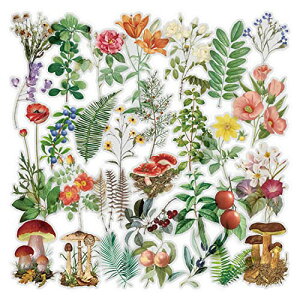 6pbN 蒠V[ XNbvubNXebJ[ t[XebJ[ pXebJ[ ڂ̐AXebJ[ PETf XNbvubNALAʐ^AoADIYNtgɎgp (Monet)