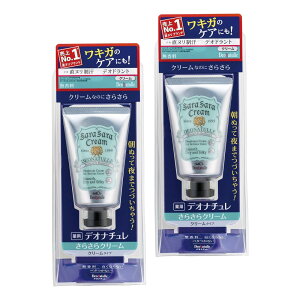 y򕔊OizfIi` 炳N[ Lp k  N[ Pi 45O (x 2)