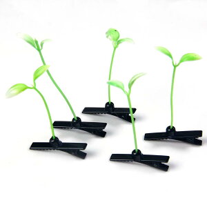 SMTHOME wAs  嗬s ʔ A蕨 10 bwAs G₵ G ɑЂƐ q xr[ sljp 