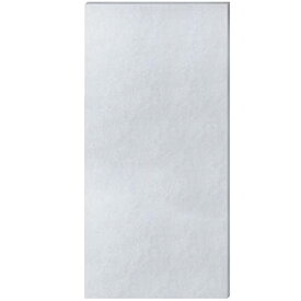 BBT HDS-302G 集塵フィルター HDS-302C 脱臭機 9450889012 集じん機能付脱臭機 HDS302C フィルター HDS302G 交換フィルター EC-9450889012 集じんフィルター 1枚入り