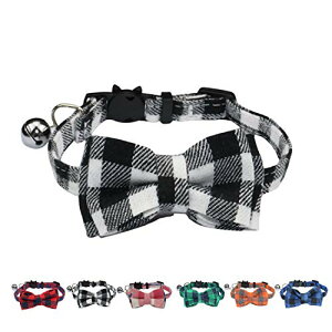 WDPAWSL t ˂ qL ybg p Lp ߉\  ѕt `FbN 1{ (zCg)