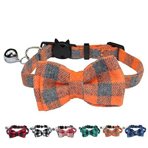 WDPAWSL t ˂ qL ybg p Lp ߉\  ѕt `FbN 1{ (IW)