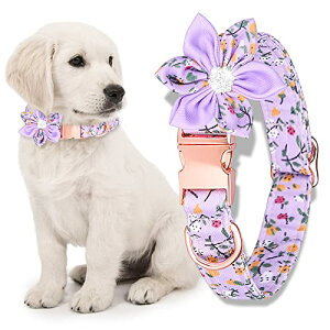 Kalevel L֏_炩^Cv }`fUC Ȑ vŃ\tg ϋv  lbNX  ԕ CXg[Ƃ߂ LL Y  O\ a ʐ^ x 