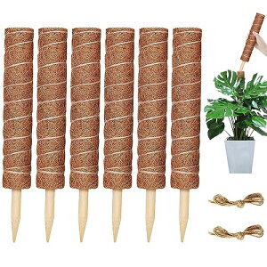 YOUSHY|x ϗtAX ex K[fjO鐫ARRXeBbNx ϗtAԎx _Ɨp|pi640cmx+2mj