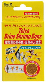 テトラ (Tetra) ブラインシュリンプエッグス 20cc 熱帯魚 エサ 卵 稚魚