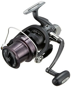 _C(DAIWA) XsjO[(E) 17 NXLXg 4500(2017f)
