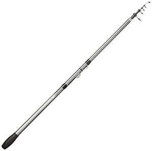 V}m(SHIMANO) bh  17 zf[Xs V[gf (Uo) 275GXTS Cgȓނp S2.75m d175g