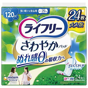 Ct[ ₩pbh p 120cc łSp 24 29cmyAꂪCɂȂz