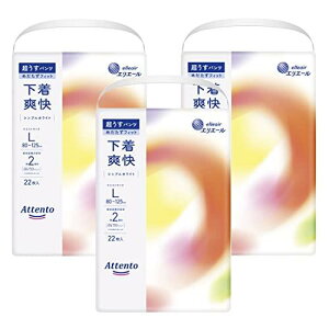 Aeg pc LTCY 66(22×3pbN)u VvzCg [P[X̔]