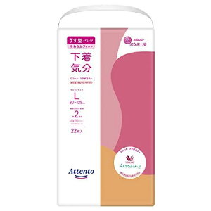 Aeg ^pc LTCY 22 C GKgsNׁ[W