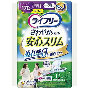 Ct[ ₩pbhX p 170cc ԁEłSp 12 29cmyAꂪCɂȂz