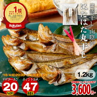 【4日20時〜 20％OFFクーポン】【エントリーでポイント最大47.5倍】 ハタハタ 一夜干し 干物 お中元 出雲…